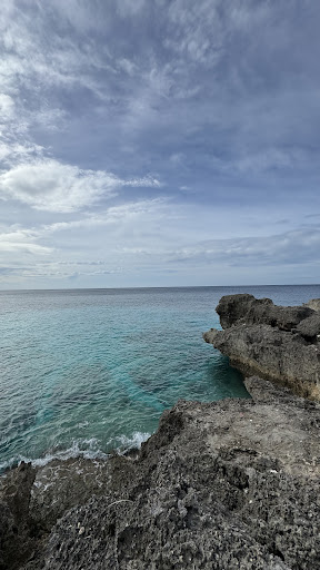 Photo from customer review